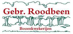 Logo Roodbeen